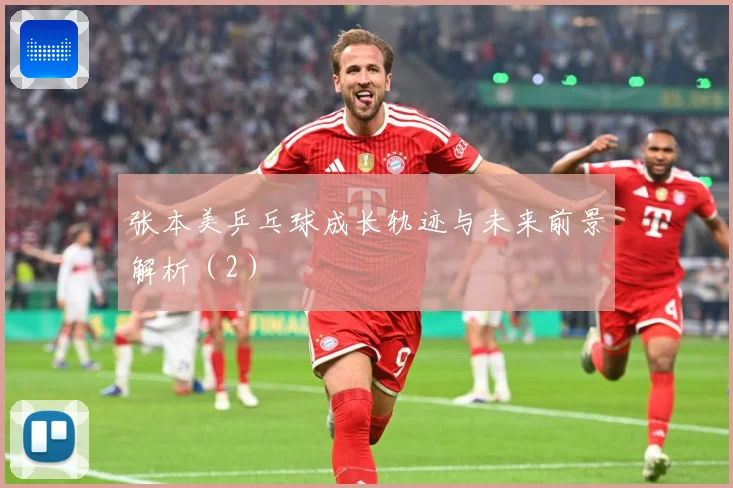 张本美乒乓球成长轨迹与未来前景解析（2）