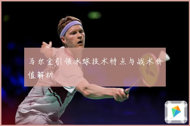 马尔金引领冰球技术特点与战术价值解析