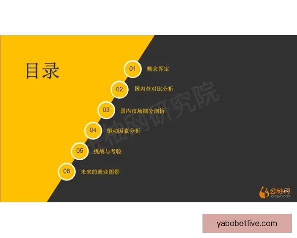 亚博体育登录最新动态与全面攻略解析指南 亚博体育登录最新动态与全面攻略解析指南