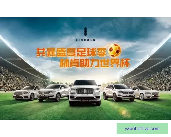 世界杯精彩竞猜策略全解析，让你赢在每一场比赛